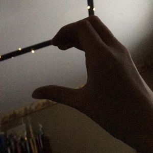 Meet your Posher, Riley